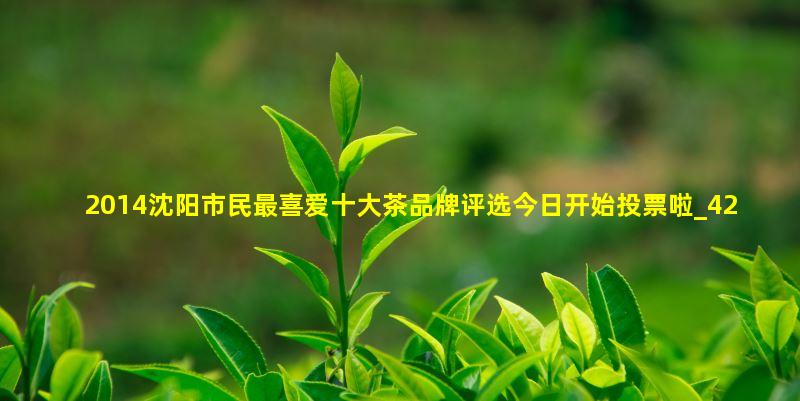2014沈阳十大茶叶品牌评选网络投票5月15日开始