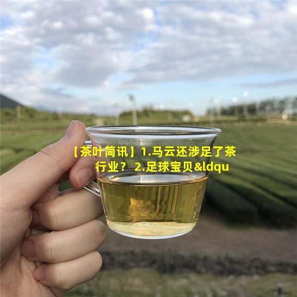 茶叶简讯 茶 太原茶博会