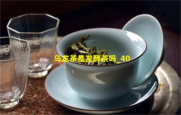 乌龙茶是发酵茶吗