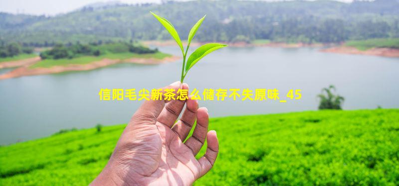 信阳毛尖新茶怎么储存不失原味