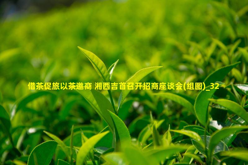 2015湘西黄金茶国际品茶节开幕前夕，吉首召开招商座谈会暨项目签约仪式。