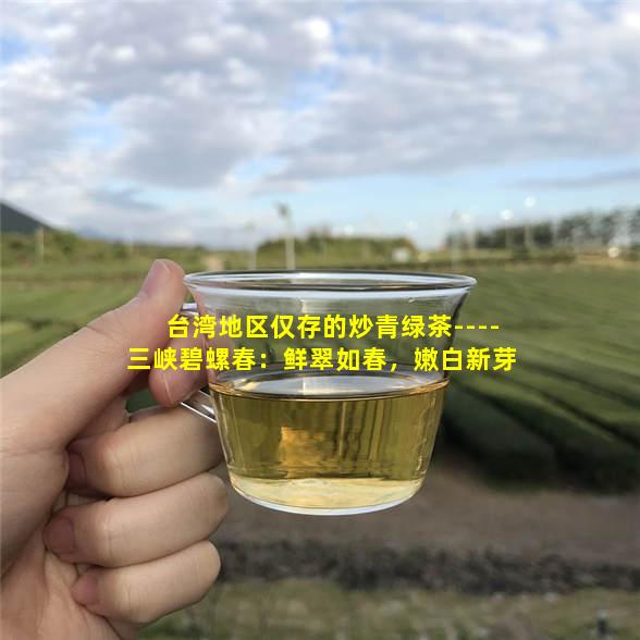 台湾地区仅存的炒青绿茶----三峡碧螺春：鲜翠如春，嫩白新芽
