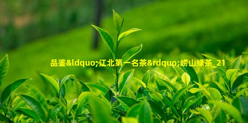 品鉴“江北第一名茶”崂山绿茶