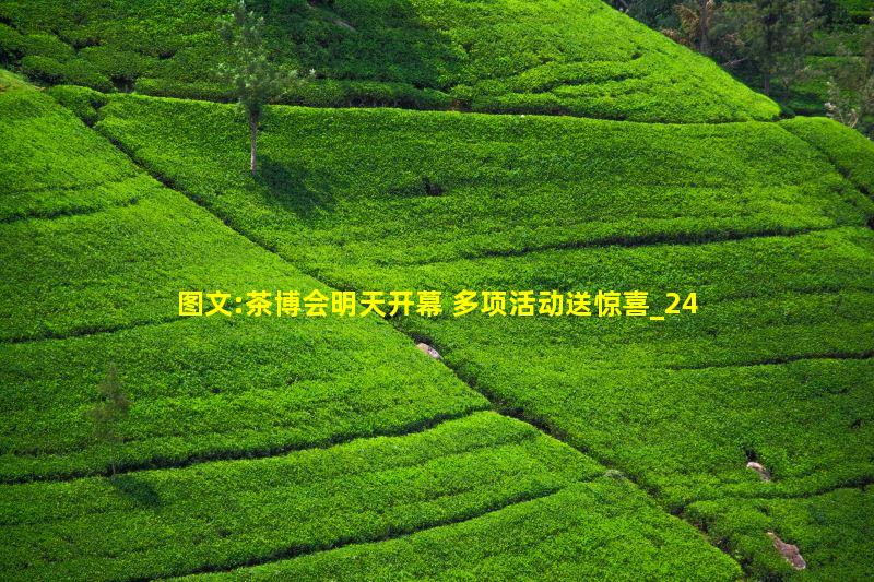 楚天都市报讯