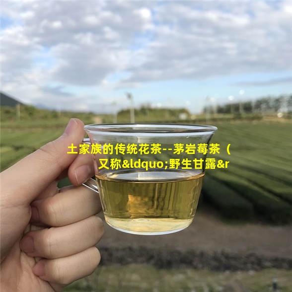 土家族的传统花茶--茅岩莓茶（又称“野生甘露”）的品质与功效