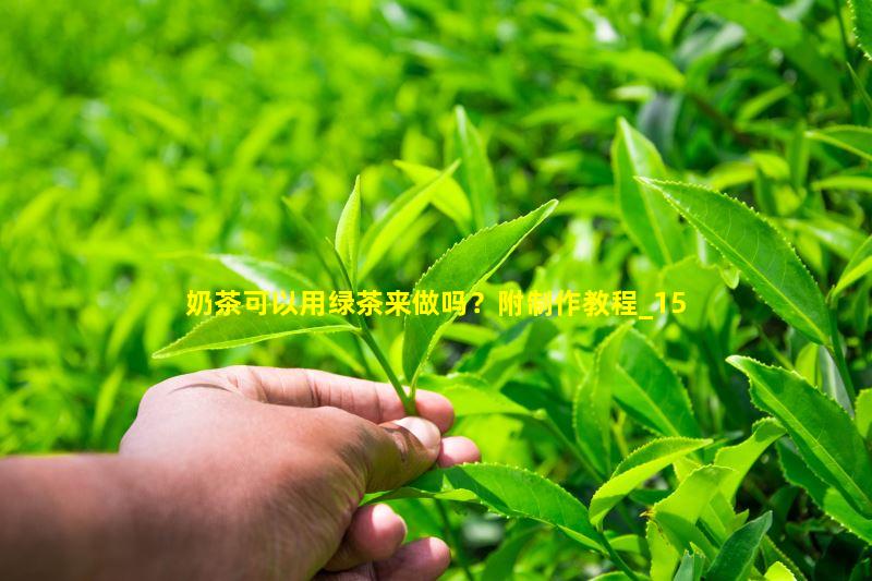 奶茶可以用绿茶来做吗？附制作教程