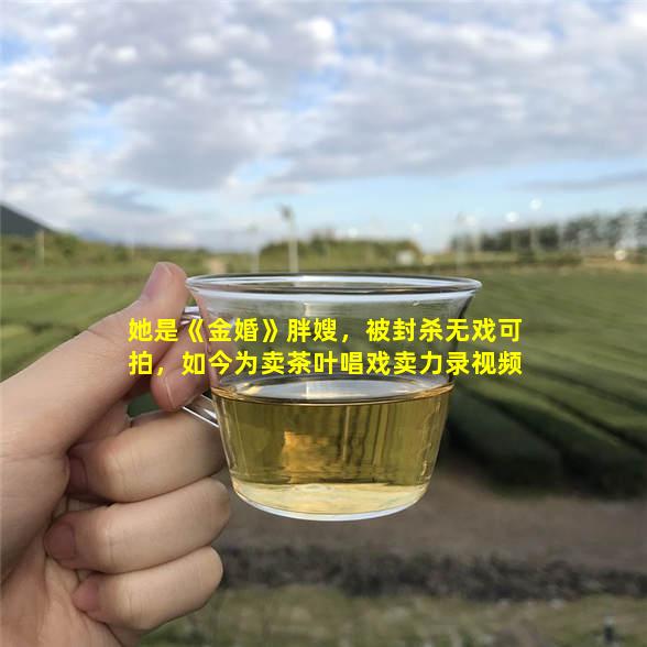 她是《金婚》胖嫂，被封杀无戏可拍，如今为卖茶叶唱戏卖力录视频