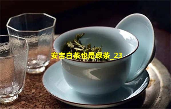 安吉白茶也是绿茶