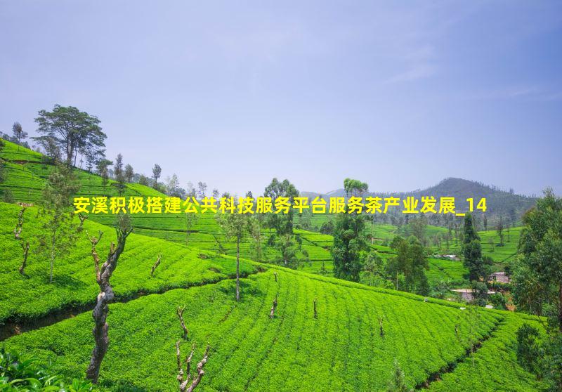 　安溪县科技部门积极搭建公共科技服务平台服务茶产业发展
