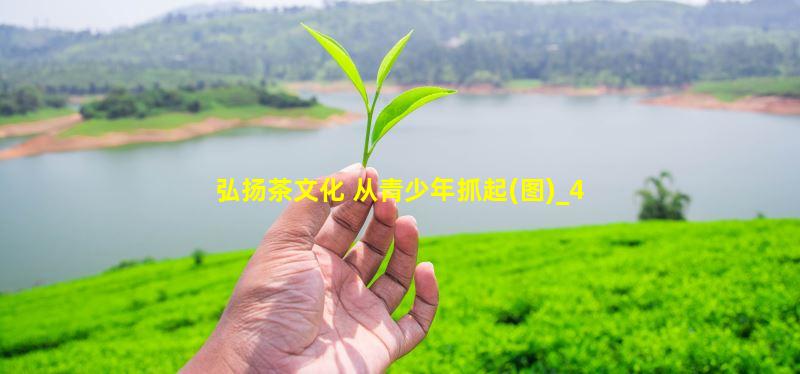 敬业茗茶向广大市民推广清远真正的本地茶——山红一号。