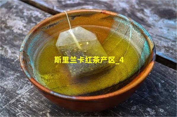 斯里兰卡红茶产区