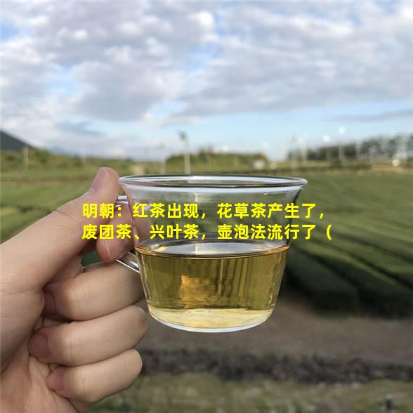 明朝：红茶出现，花草茶产生了，废团茶、兴叶茶干茶叶没味了茶叶刚泡好就喝好吗，壶泡法流行了（精简茶具，壶以小为贵）