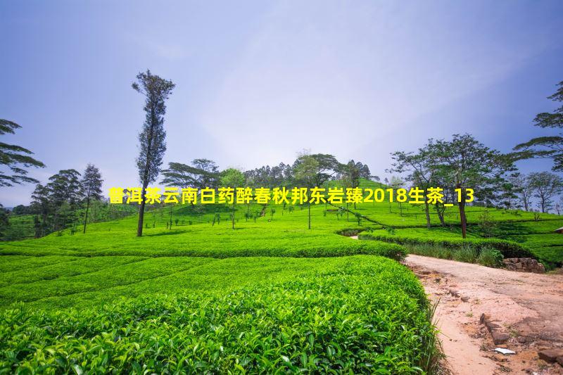 普洱茶云南白药醉春秋邦东岩臻2018生茶