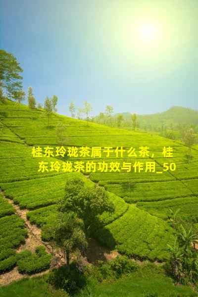 桂东玲珑茶属于什么茶，桂东玲珑茶的功效与作用