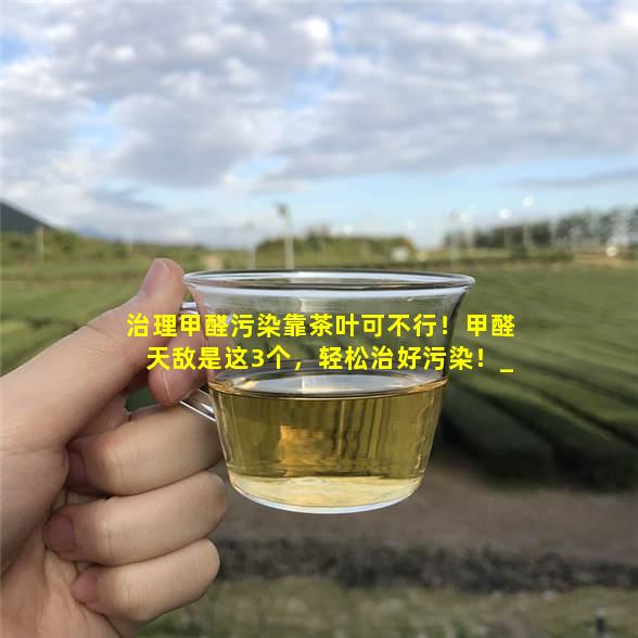 治理甲醛污染靠茶叶可不行！甲醛天敌是这3个，轻松治好污染！