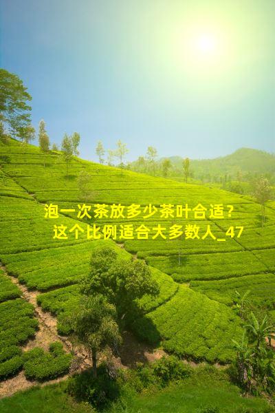 泡一次茶放多少茶叶合适？这个比例适合大多数人