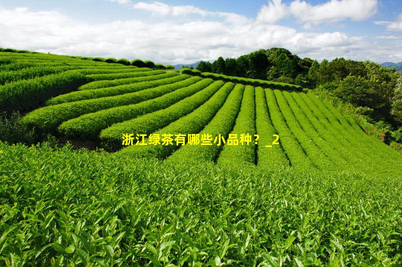 浙江绿茶有哪些小品种？