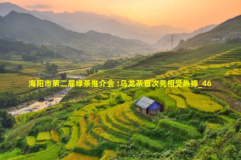 推介会期间,鲁成银(右一)等一些专家到一些合作社品茶,并现场做出点评