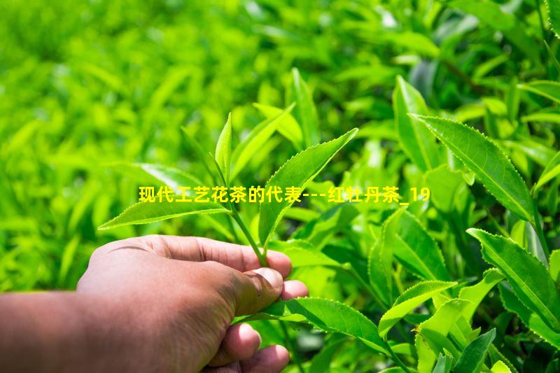 现代工艺花茶的代表---红牡丹茶