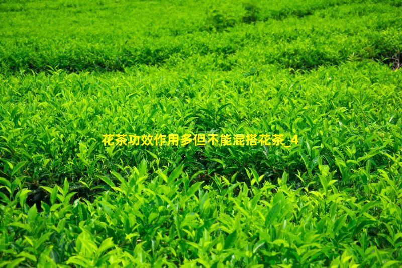 花茶功效作用多但不能混搭花茶