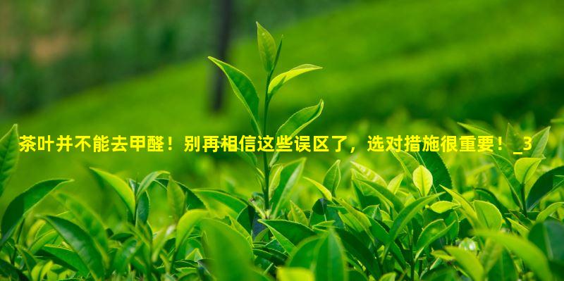 ?茶叶并不能去甲醛！别再相信这些误区了，选对措施很重要！