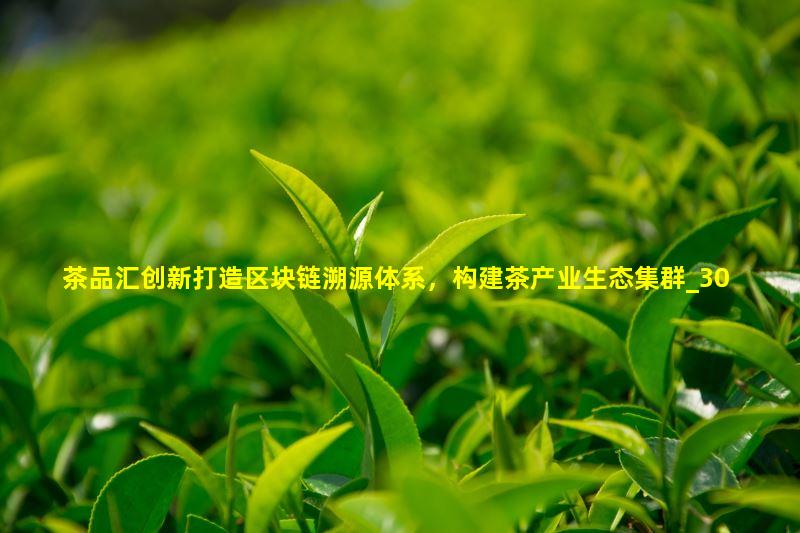 茶品汇创新打造区块链溯源体系，构建茶产业生态集群
