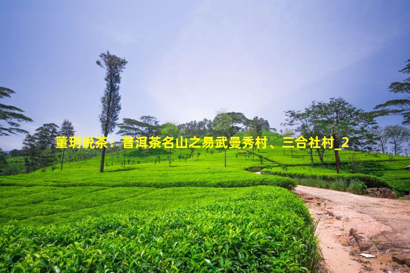 普洱茶名山之易武曼秀村、三合社村