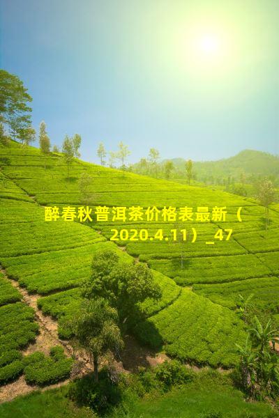 醉春秋普洱茶价格表最新（2020.4.11）