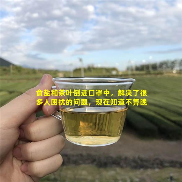 食盐和茶叶倒进口罩中，解决了很多人困扰的问题，现在知道不算晚